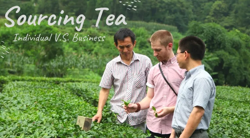 Hoe thee te vinden van China Leverancier Identification & Concepting - The ESG Deep Dive

 
 
 
